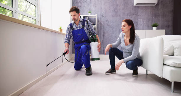 Best Pest Prevention Services  in Sabina, OH